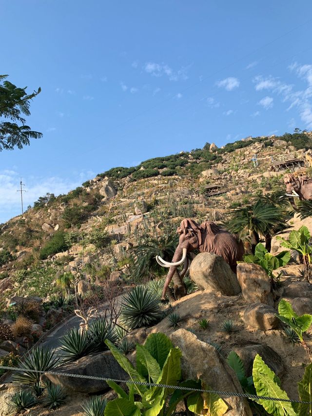 福建石岩植物園復活島的搬到國內了