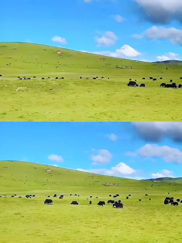 The secret realm of Lianbaoyeze is even more beautiful than Daocheng