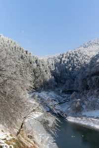 古人說“不識廬山真面目”，體會到了，廬山的雪景！絕美！