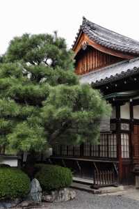 宇治平等院｜打卡日幣10元硬幣背面景點🪙全攻略