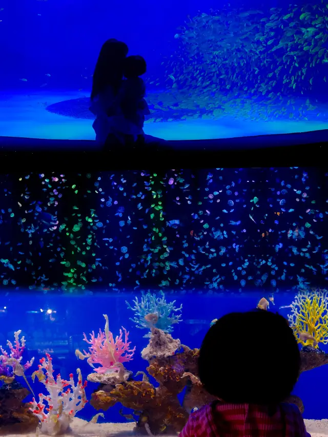 Chongqing | Atlantis version of the underwater world is so healing