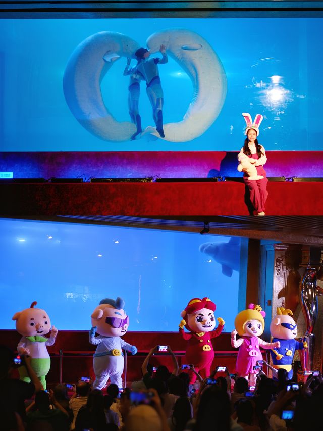 國慶廣州旅遊遛孩子，這個海洋館你不能錯過！