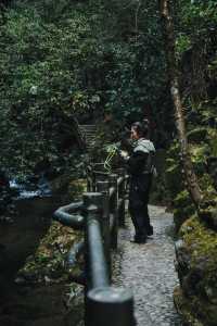 昆明周邊｜玉溪雲海日出哀牢山徒步𝟮天攻略