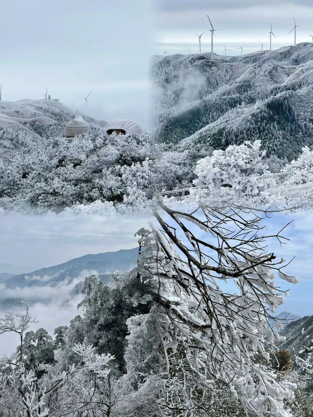 郴州莽山|霧凇美景