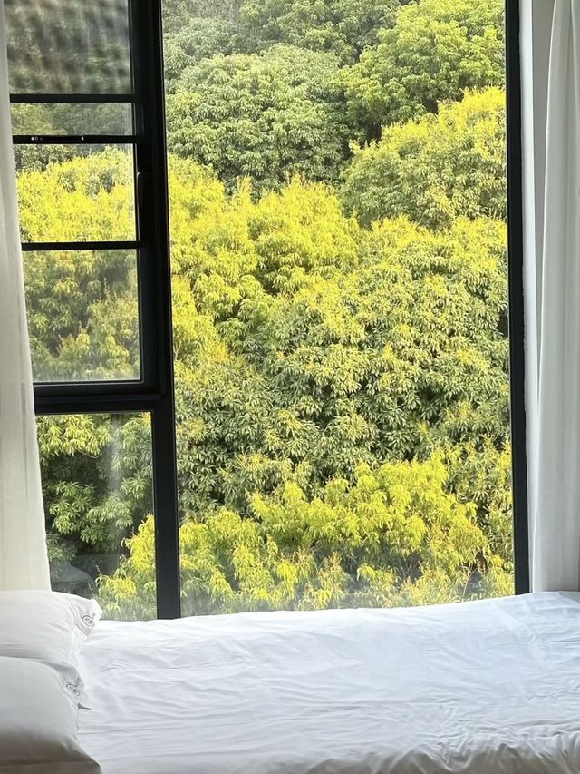 來珠海長隆不住這真的很可惜啊