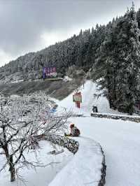 無需遠赴南方小土豆勇闖南國雪鄉攻略