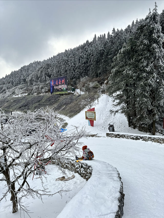 無需遠赴南方小土豆勇闖南國雪鄉攻略