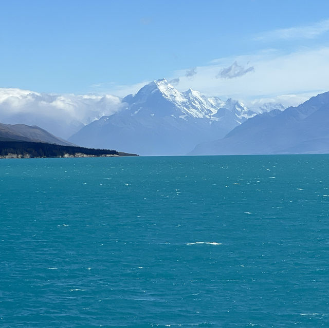 Mount Cook National Park Day Trip 📸