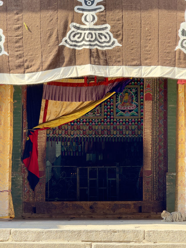 西寧旅行-藏傳佛教聖地｜塔爾寺