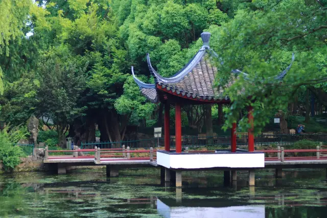 上海浦東隱匿的古典園林，古鐘園