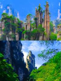 中國第一個國家森林公園