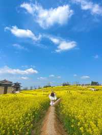 探索成都之美：成都雙流廣都博物館春日賞花之旅
