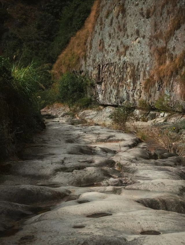 上海周邊