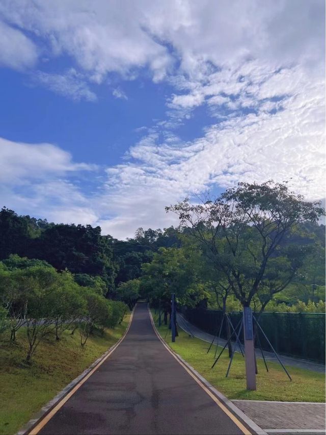 深圳淘金山｜綠道中的“千島湖”