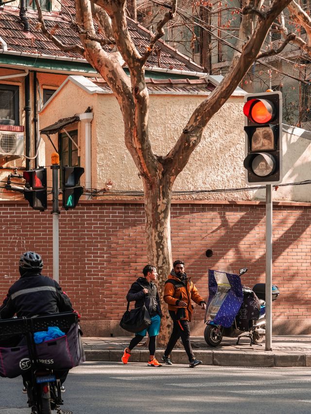 花筑奢·上海｜一起city walk，體驗繁華都市的魅力之窗