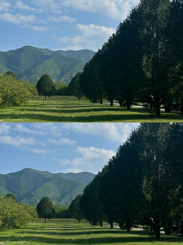 秦王地宮探秘：麗山園與神秘兵馬俑