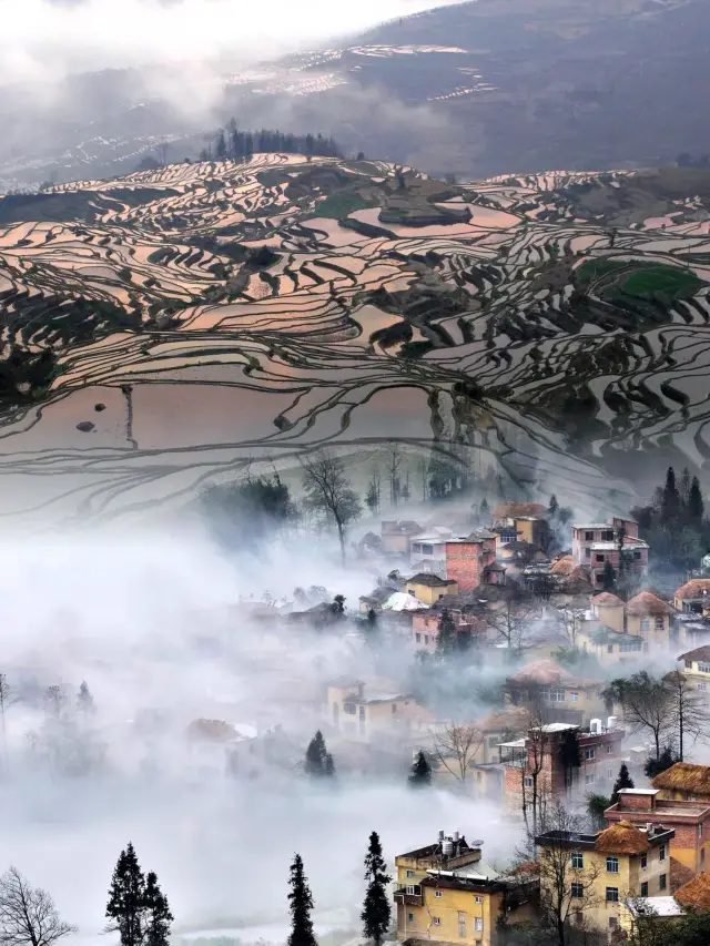 The beauty of the Hani terraces in winter is breathtaking | It's our paradise for chasing light and shadow