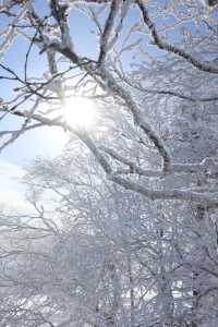與雪來了一場浪漫的邂逅～｜幸福地在雪裡打滾