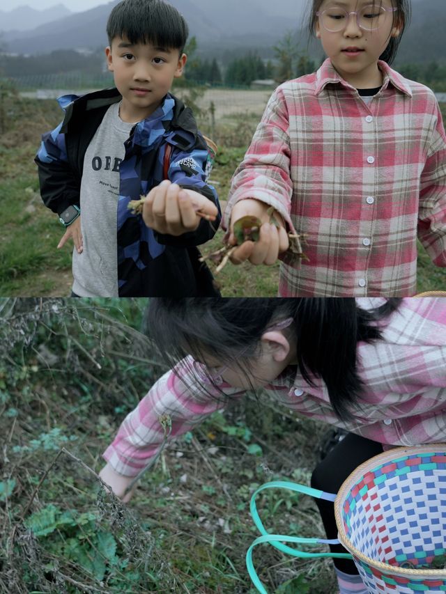 清明全家周邊遊 隱藏玩法請收好