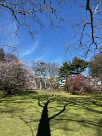 中央公園的春天