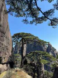 登黃山則天下無山
