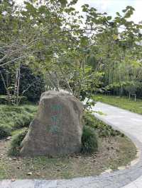 弇山園，在太倉絕對算得上是一個著名景點，原來叫太倉公園，雖然是個免費公園，但規劃管理得井井有條