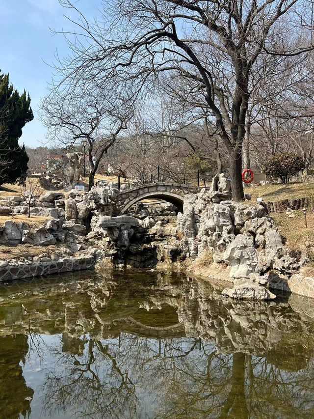 青島賞花好去處，人少景美的百花園首當其衝！