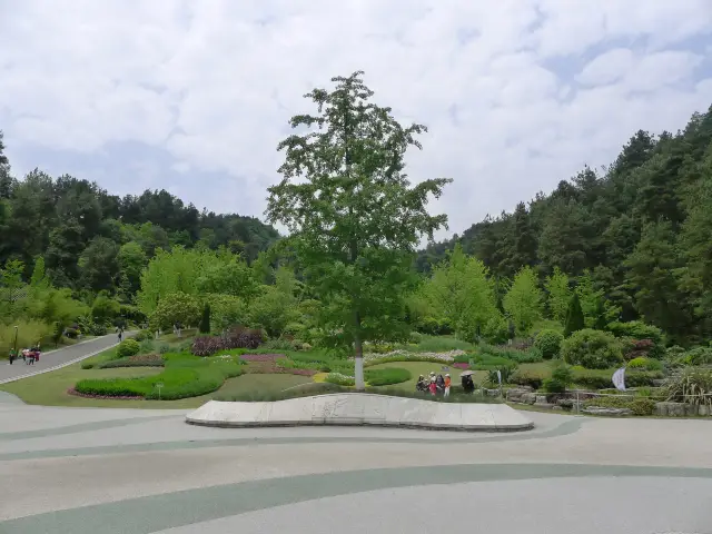 登高雲山之門——雲錦天章