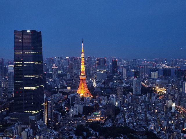 我願稱之為東京鐵塔的最佳拍攝點