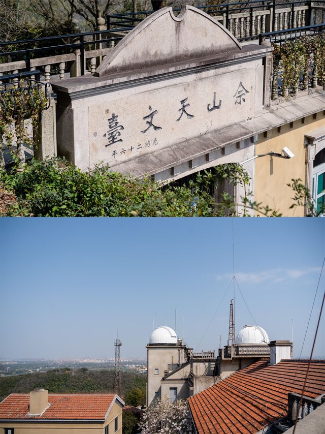 春日上春山增長知識，一起探尋佘山的秘密