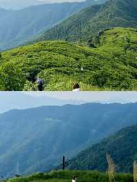 香港～飛鵝山