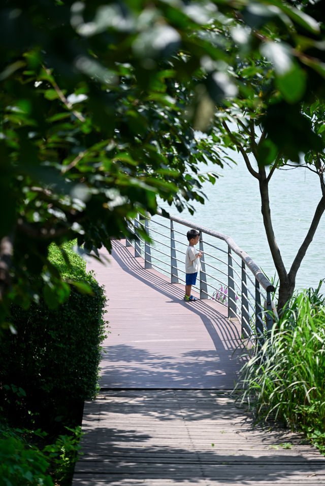 西安最大的公園竟然免費拍照、溜娃真的絕了