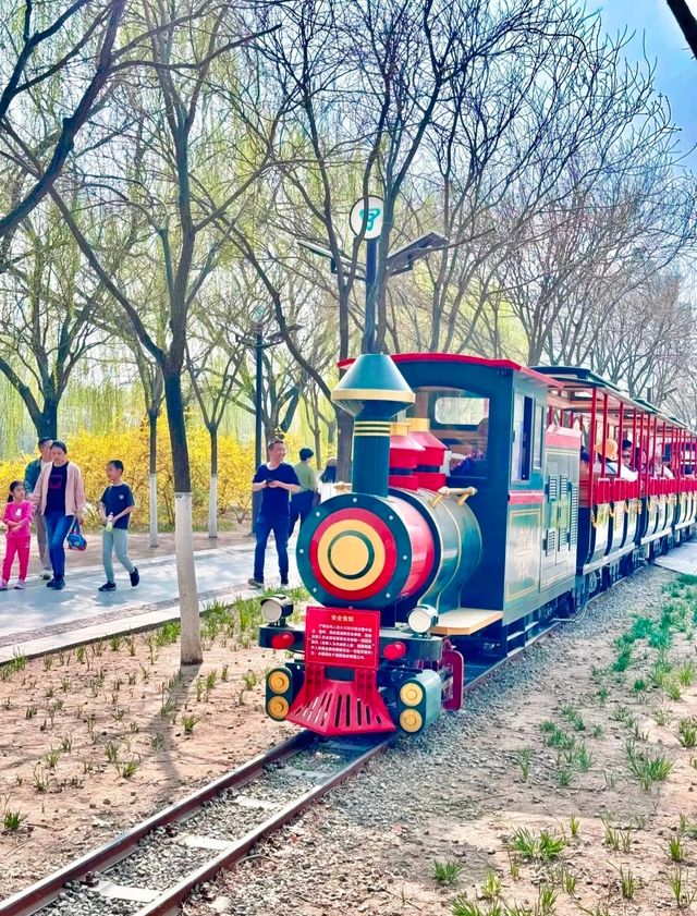 開往春天的小火車｜逛公園遛娃兩不誤！
