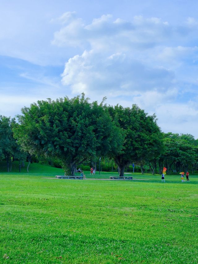 深圳草坪公園天花板，這裡也太chill了吧！！