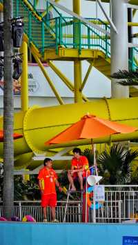 Wendu Water City | The ceiling of Beijing Water Park, filled to the brim with summer ambiance.