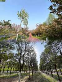 鄭州100個免費遊玩寶藏景點——樹木園