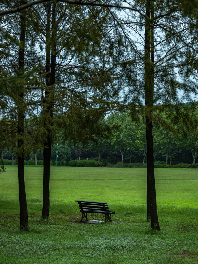 原以為蘇州已經很美了，直到我去了宜興