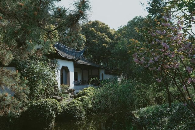 春天的秋霞圃沒有紅楓，卻是現實版的綠野仙蹤
