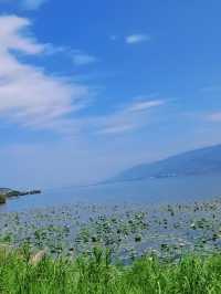 石屏異龍湖