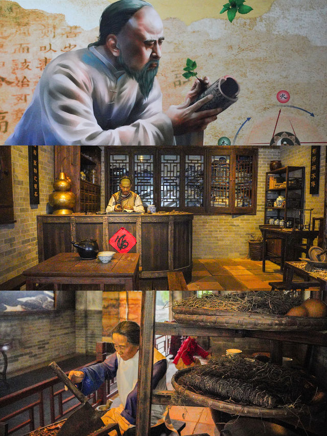 廣州有個適合帶娃打卡的小眾博物館：神農草堂