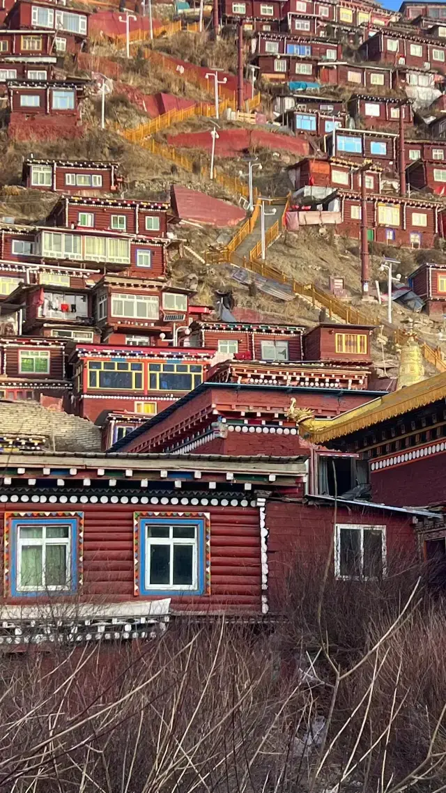 金川梨花+色达行程推荐