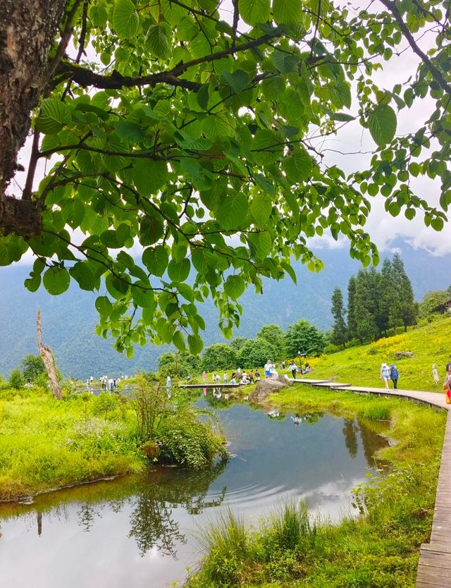 來黑竹溝景區，開啟初夏美好時光