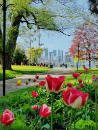 湖心島公園：這絕美的城市天際線，比紐約曼哈頓也不遑多讓