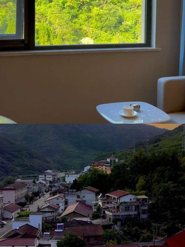 豐富的物種、茂盛的植被和山水風光