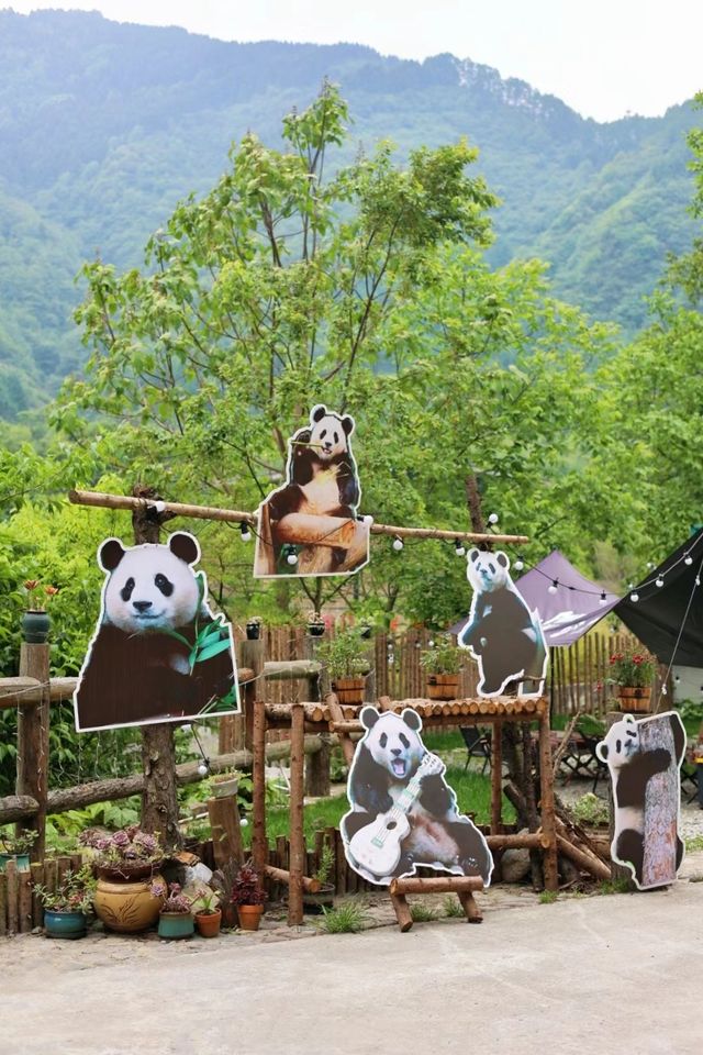 在汶川看福寶！住進大熊貓基地對面的山野民宿！