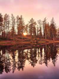 🌟 Enchanting Escapes: Gilpin Hotel & Lake House 🌟