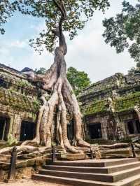 🌟 Siem Reap's Hidden Gem: Shintana Saya Residence 🌴