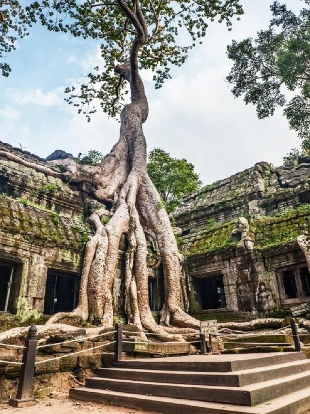 🌟 Siem Reap's Hidden Gem: Shintana Saya Residence 🌴