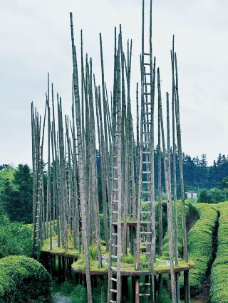 The Tea Garden of the Cloud Immortals - Hanxi Village