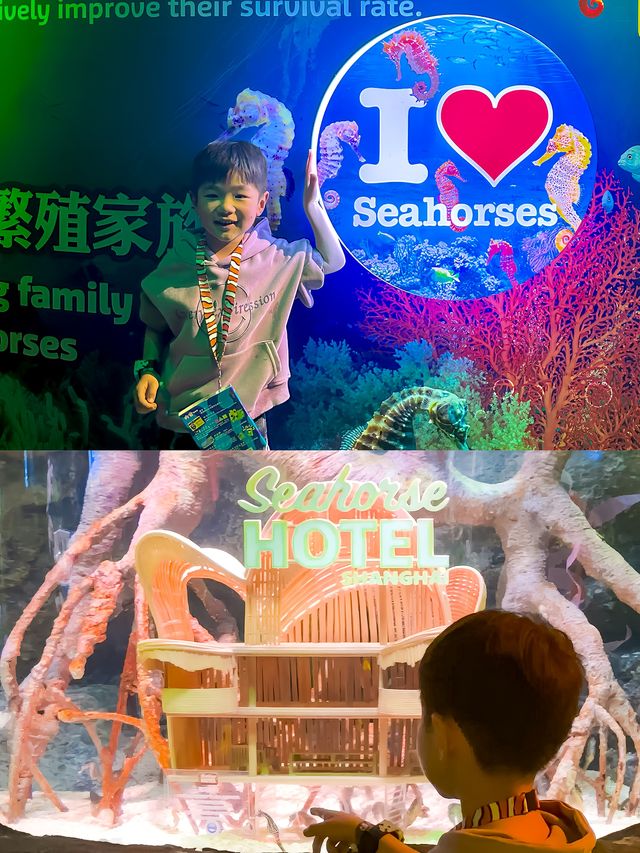 長風公園海洋世界竟然有個海馬酒店